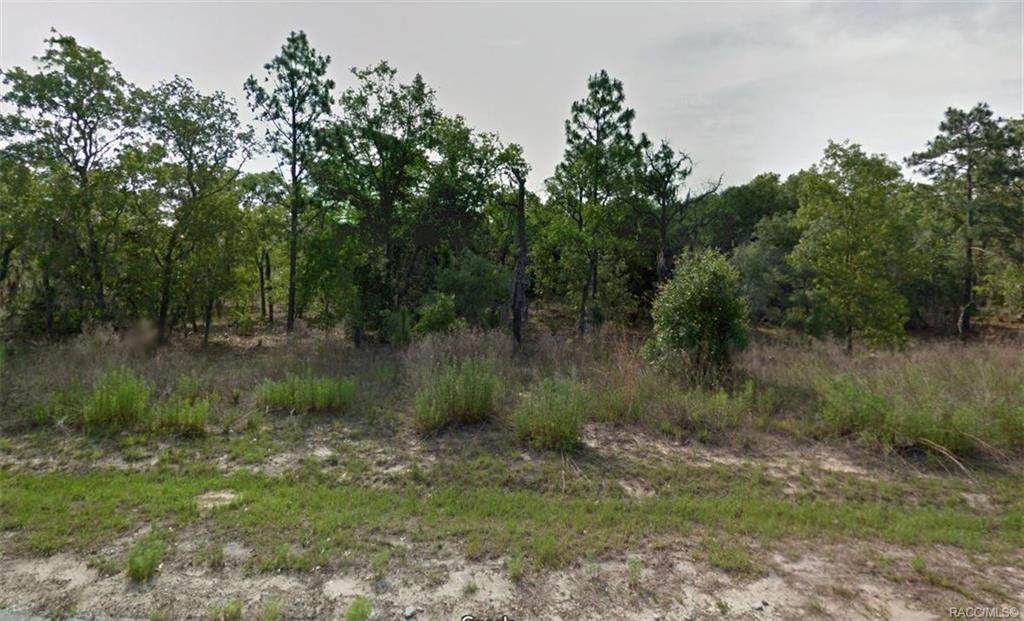 2501 Bravura Drive - Photo 1
