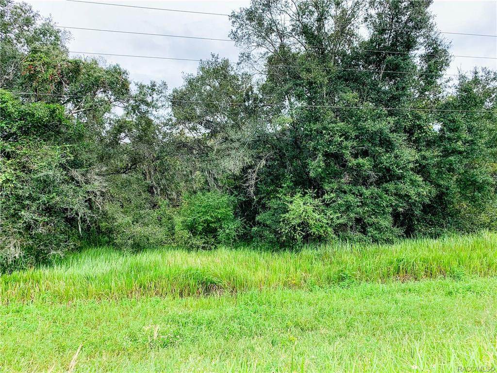 8935,8881,8907 Pleasant Grove Road - Photo 1