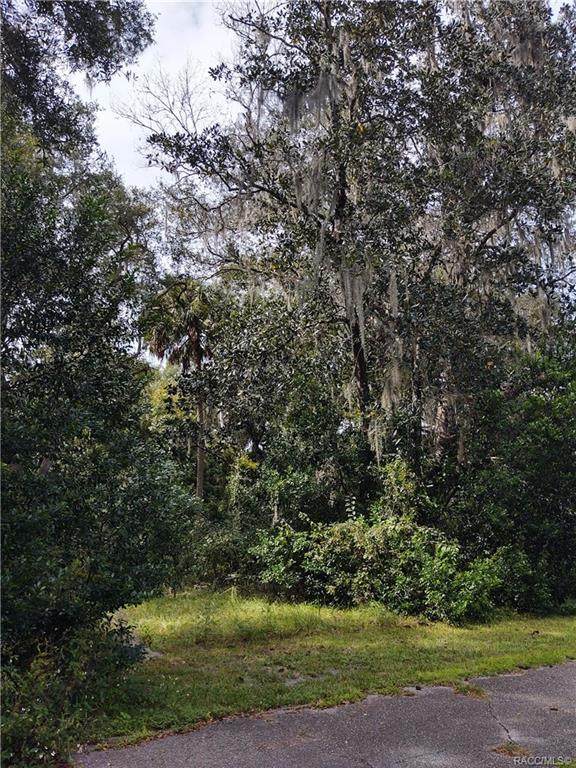 1354 Burden Point - Photo 1