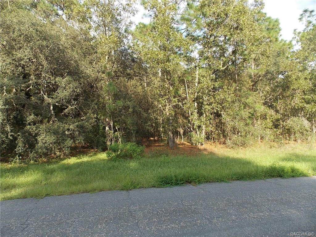 505 Charming Place - Photo 1