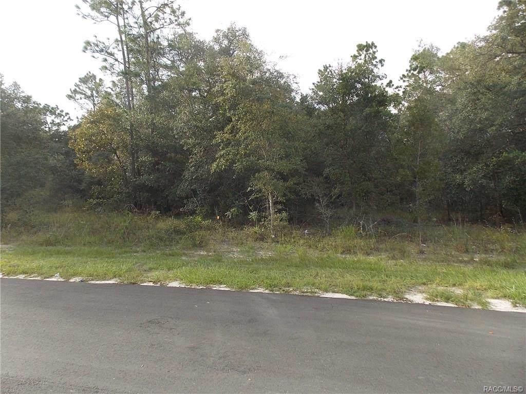 10675 Hatari Drive - Photo 1