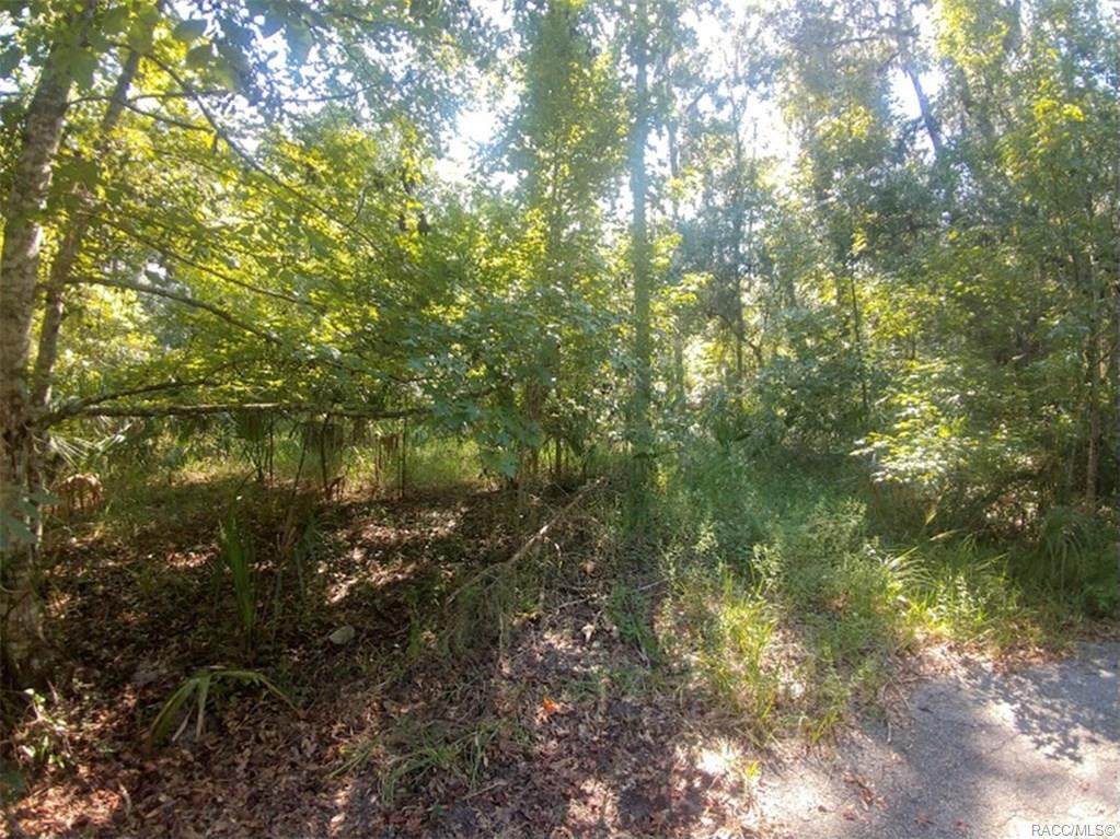 4367 Conwell Point - Photo 1
