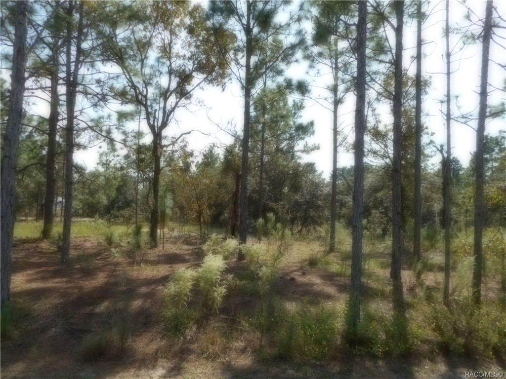 Lot 12 Surf Boulevard - Photo 1