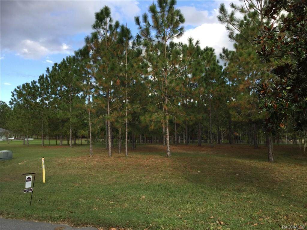 2614 Brentwood Circle - Photo 1