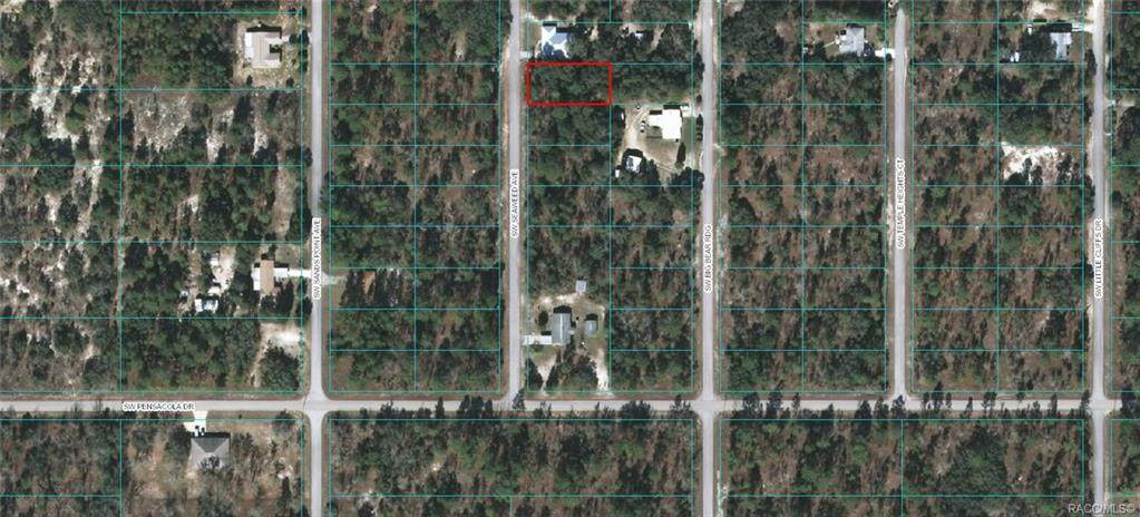 Lot 36 Seaweed Avenue - Photo 1