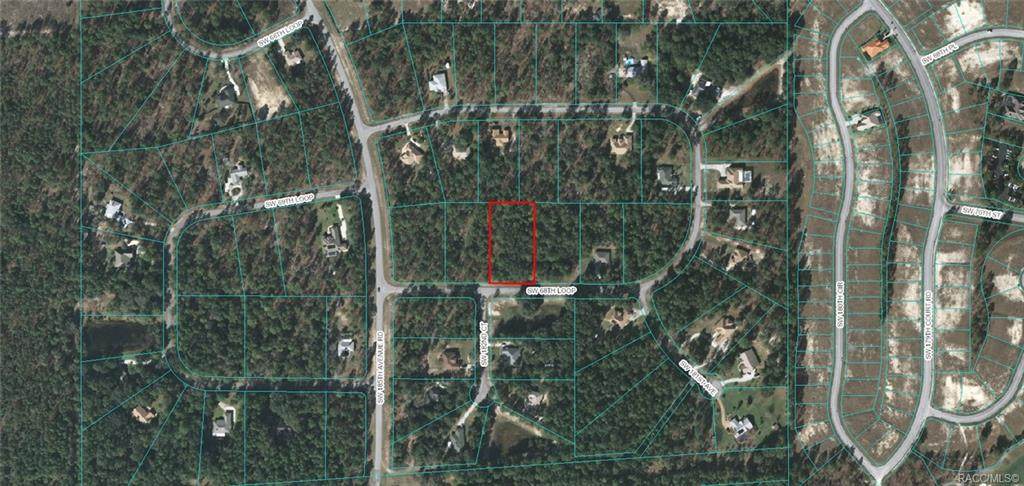 Lot 11 68th Loop - Photo 1