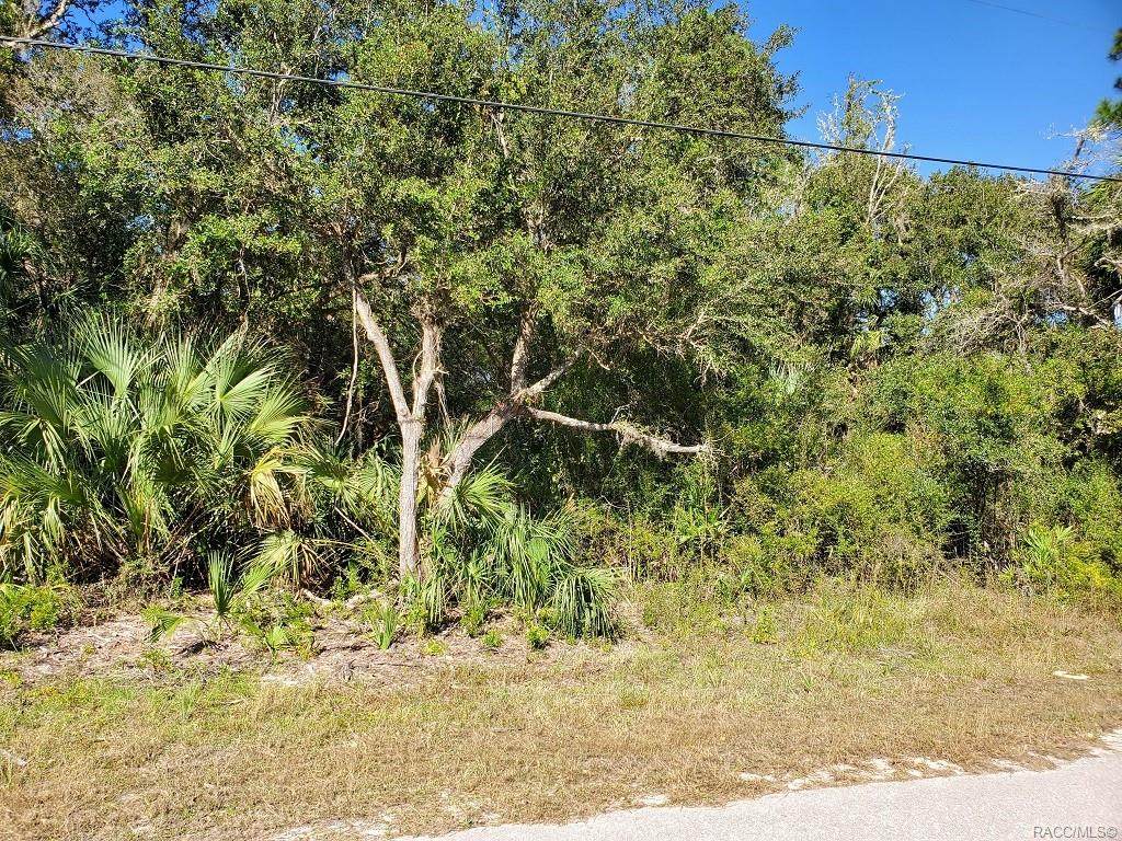 11067 Gem Street - Photo 1