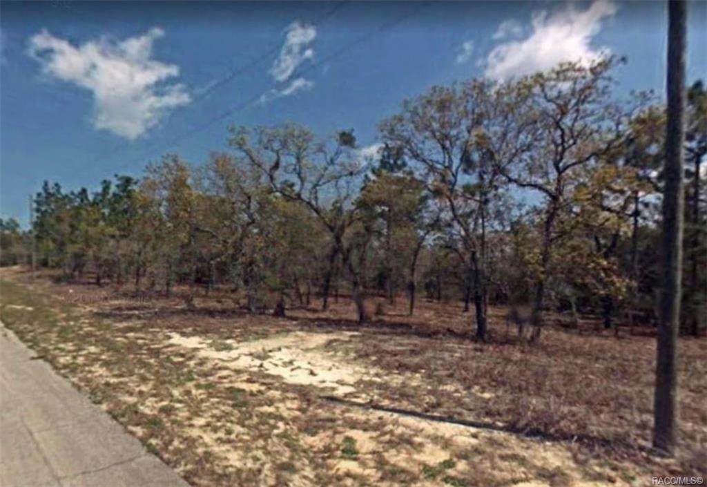 9795 Dana Way - Photo 1