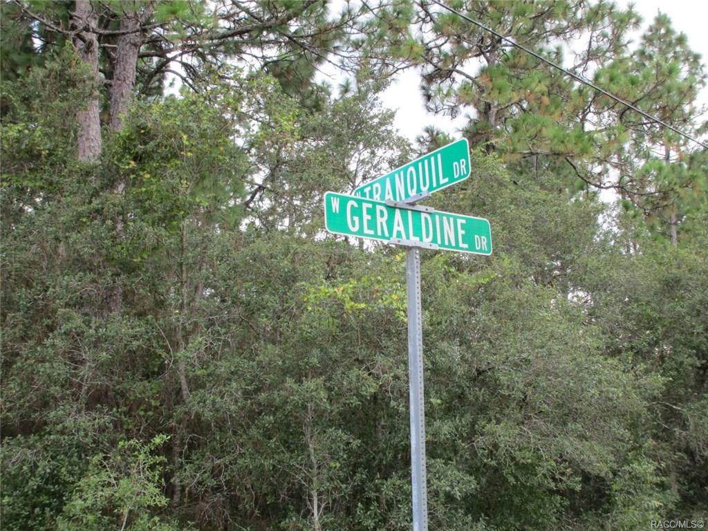 4225 Geraldine Drive - Photo 1