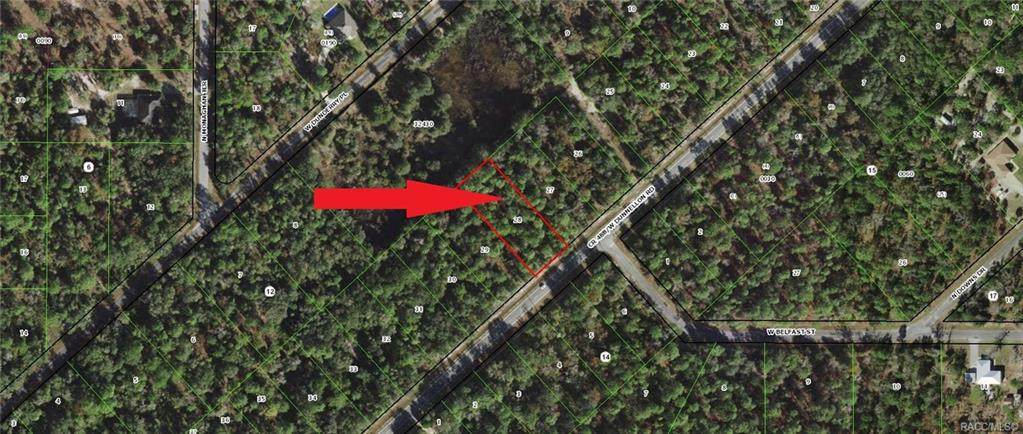 10659 Dunnellon Road - Photo 1