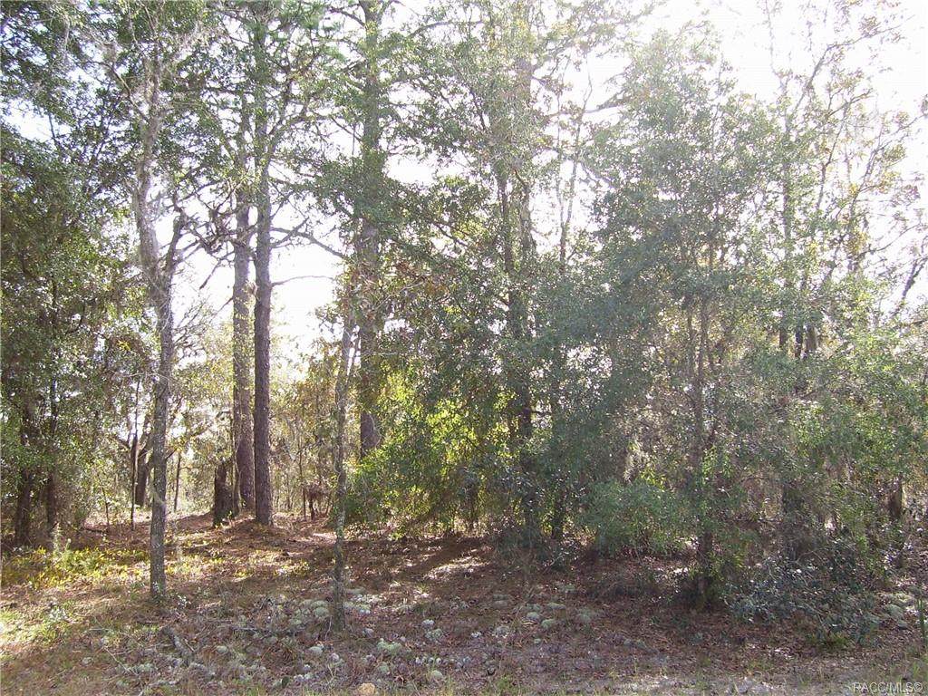 5842 Connetquot Place - Photo 1