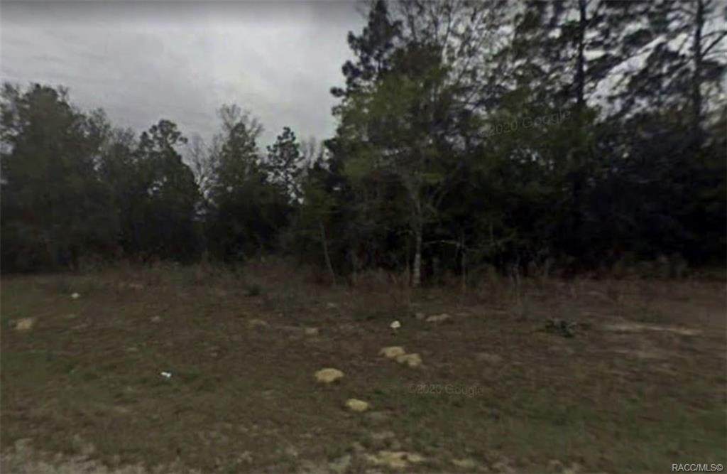 7402 Ireland Drive - Photo 1