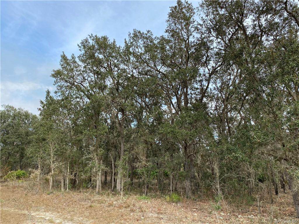 6383 Spotted Sandpiper Point - Photo 1