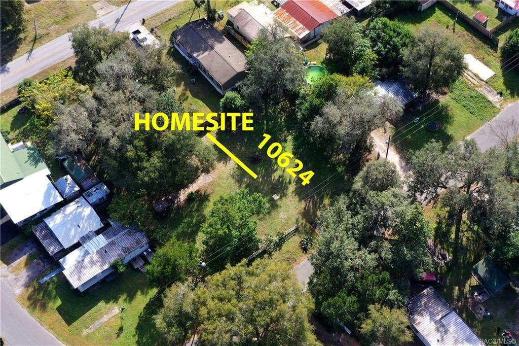 10624 Turtle Lane - Photo 1