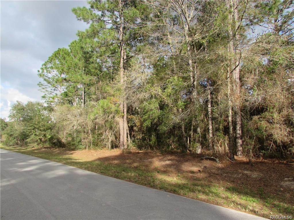 8099 Primrose Drive - Photo 1