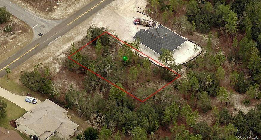 9 Corkwood Boulevard - Photo 1