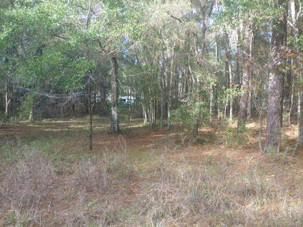 6647 Hampton Lane - Photo 1