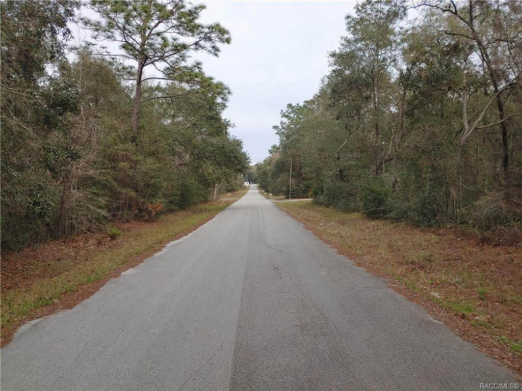 3312 Deal Street - Photo 1