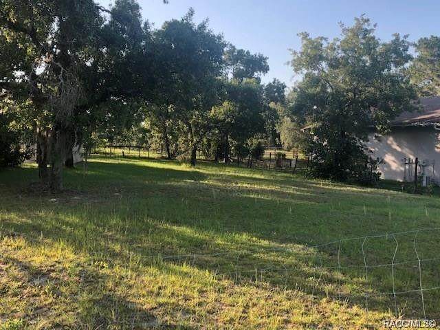 5191 Homosassa Trail - Photo 1