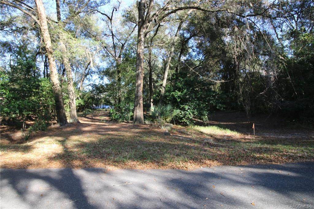 3123 Graymor Path - Photo 1