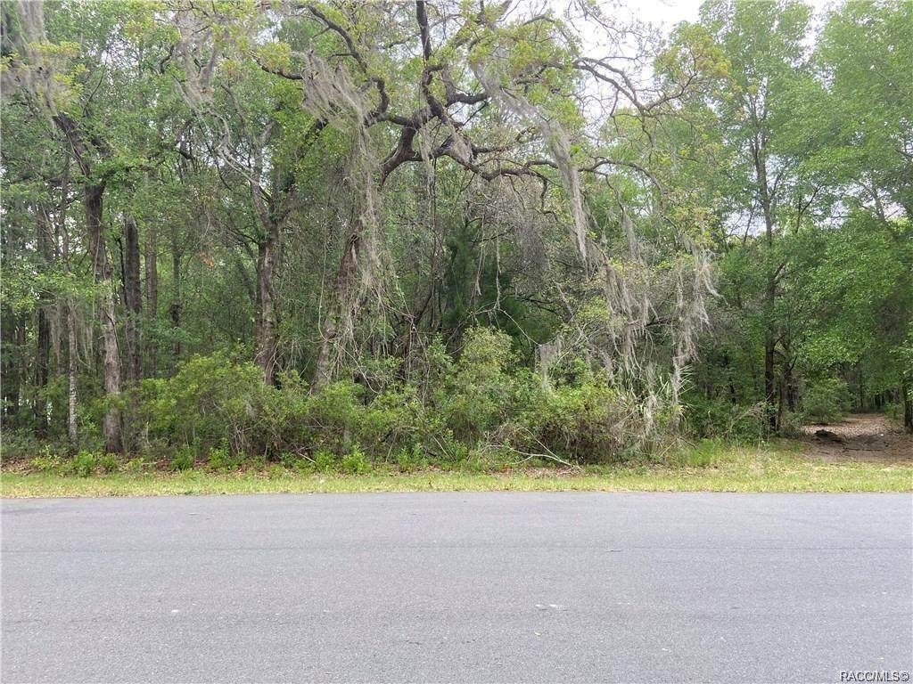 1253 Winnetka Street - Photo 1