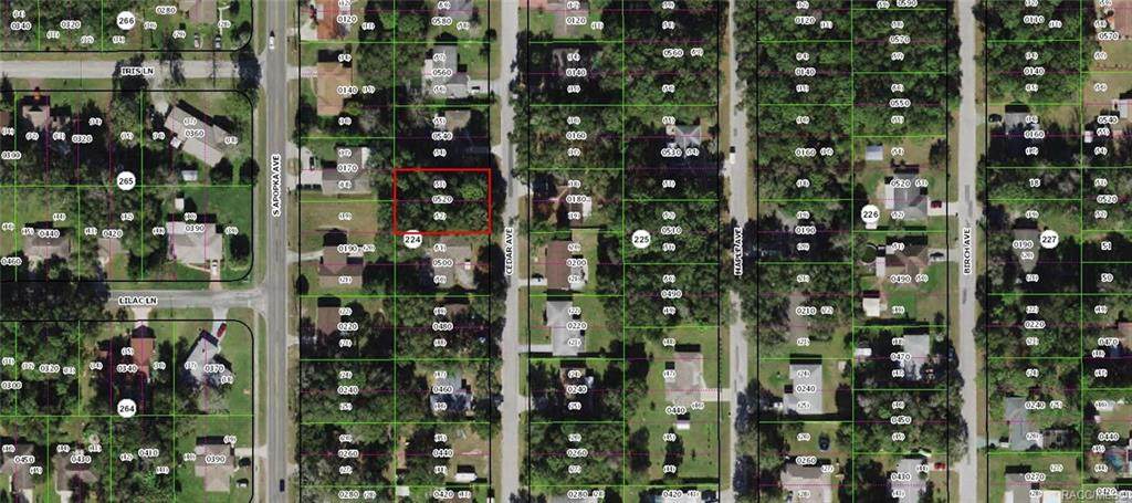 925 Cedar Avenue - Photo 1