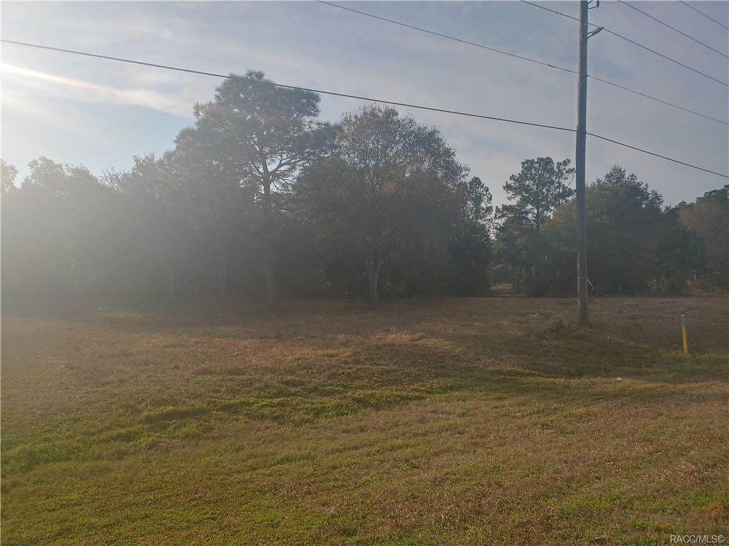 0 Suncoast Boulevard - Photo 1