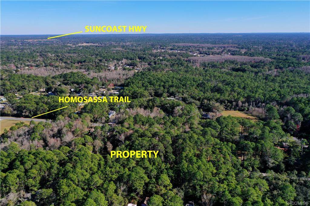 8090/8112 Mistflower Place - Photo 1