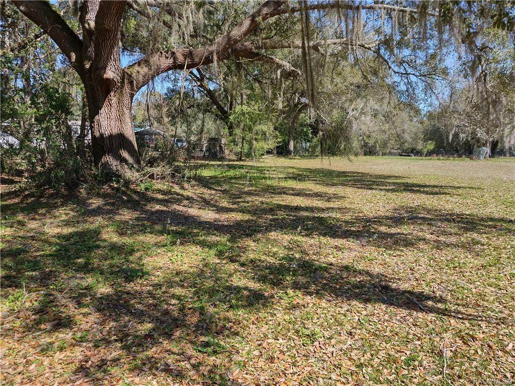 4665 Brush Hollow Loop - Photo 1