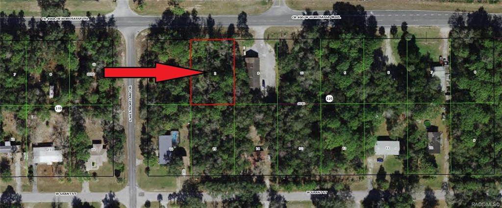 6962 Homosassa Trail - Photo 1