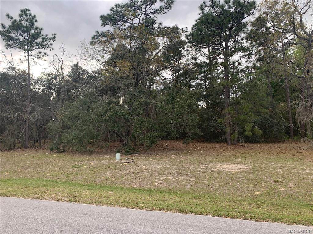 6252 Misty Oak Terrace - Photo 1