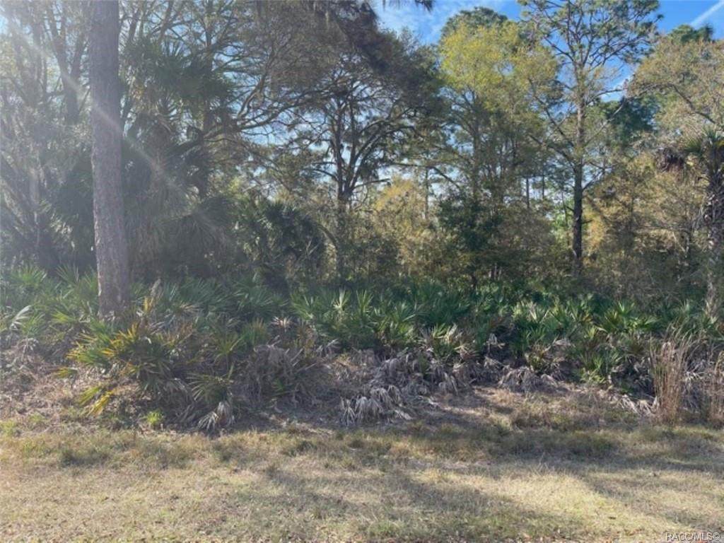 12744 Rosemary Place - Photo 1