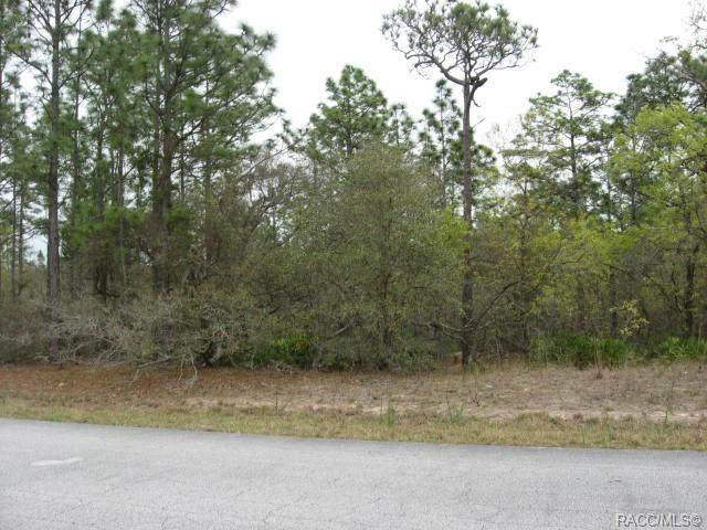 4393 Pink Poppy Drive - Photo 1