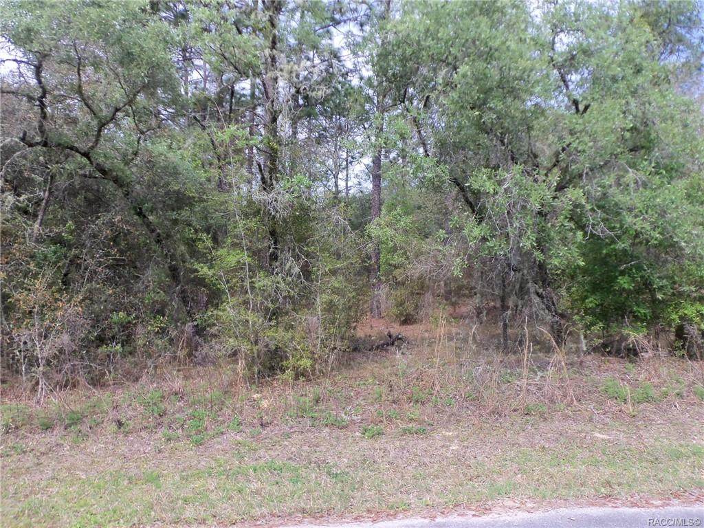 00 204 Avenue - Photo 1
