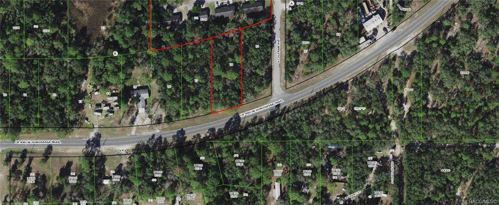 6107 Homosassa Trail - Photo 1