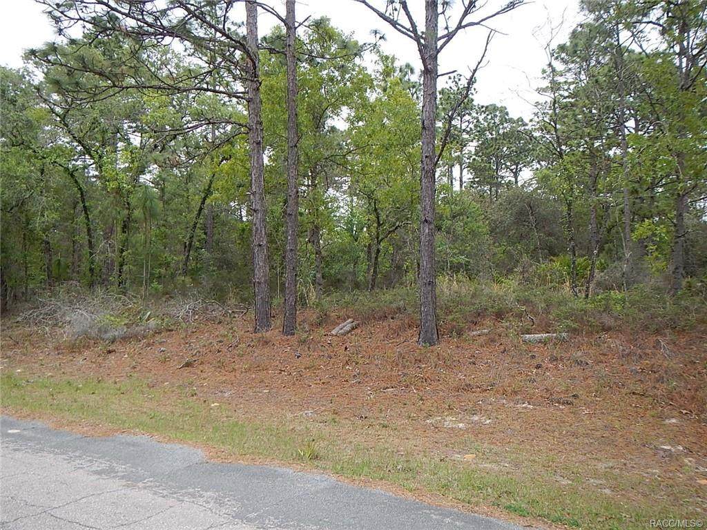 5463 Mallows Circle - Photo 1