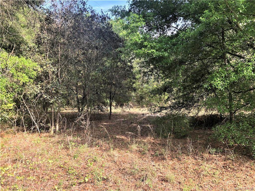 4037 Brian Point - Photo 1