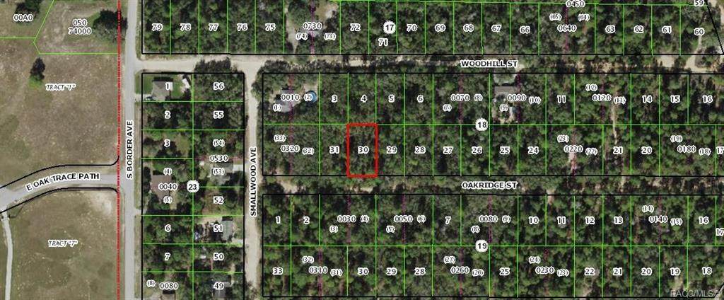2904 Oakridge Street - Photo 1