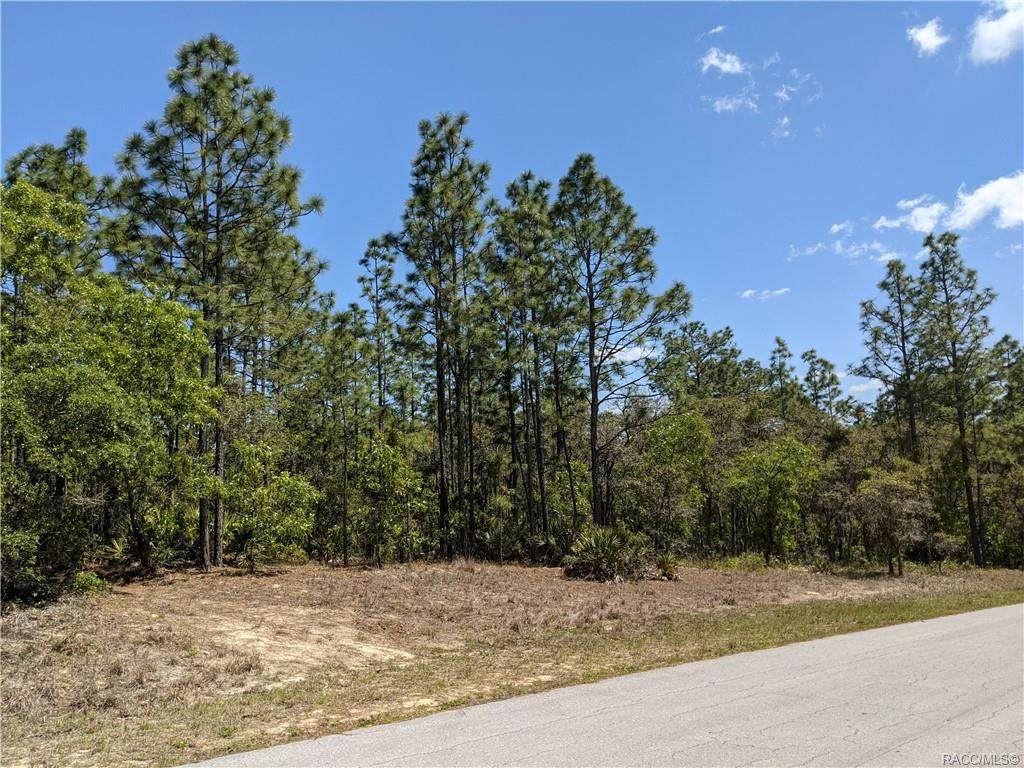 4473 Saddle Drive - Photo 1