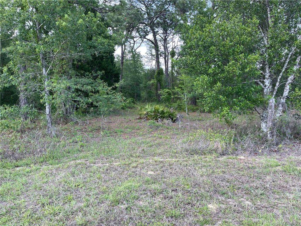 5155 Oak Park Boulevard - Photo 1