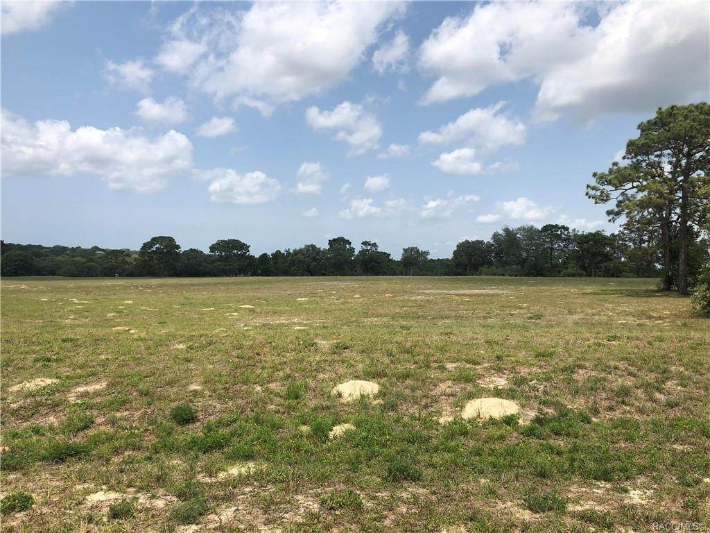 3373 Shadow Creek Loop - Photo 1