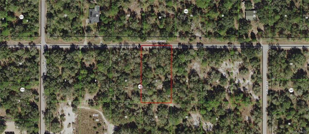 12502 Cornflower Drive - Photo 1