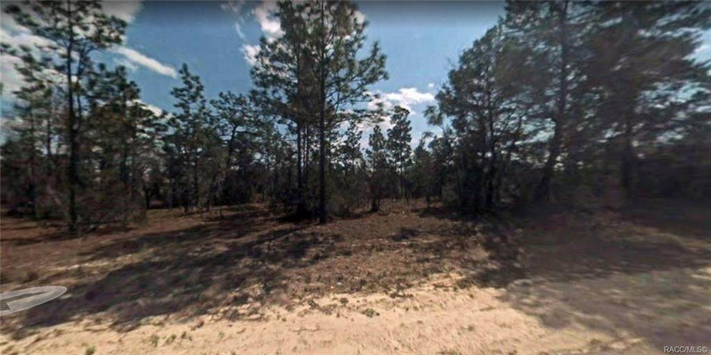 8647 Iberian Drive - Photo 1