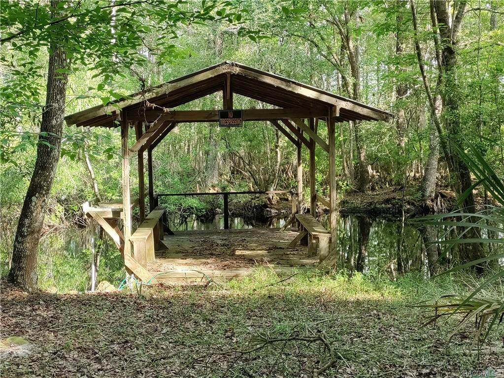 12811 Big Buck Trail - Photo 1