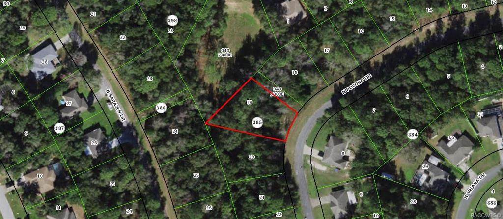 8410 Pocono Drive - Photo 1