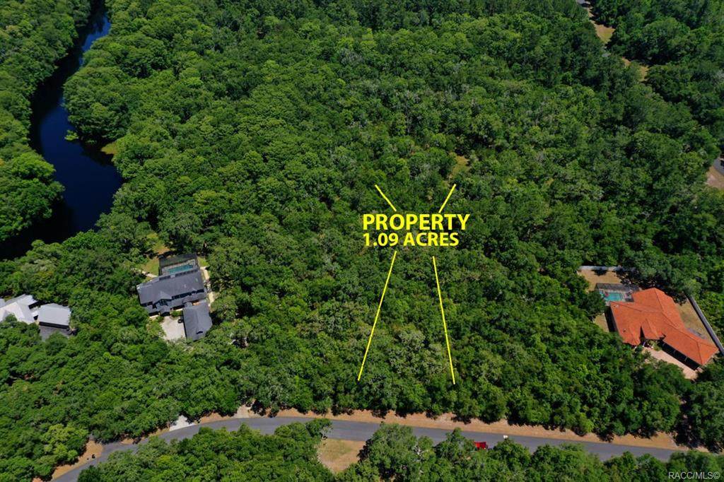 10464 Natchez Loop - Photo 1