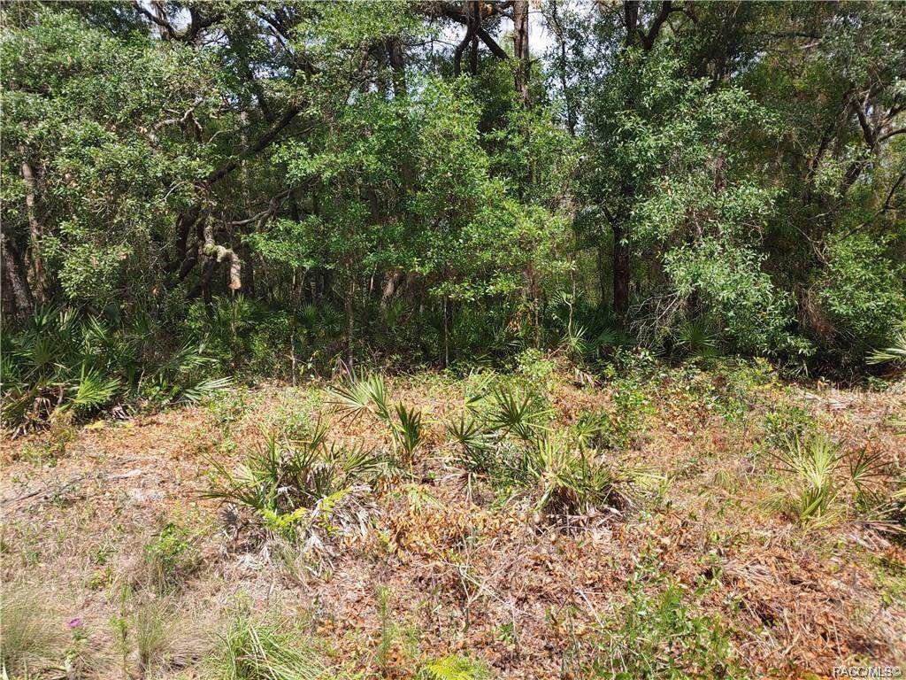4632 Hidden Oaks Way - Photo 1