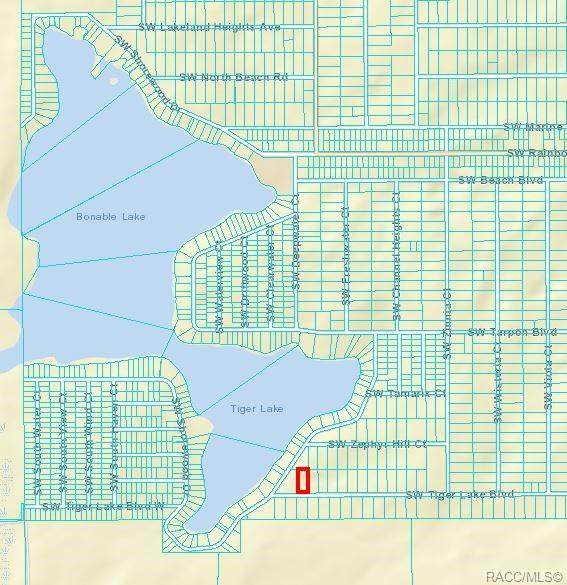 0 Tiger Lake Boulevard - Photo 1