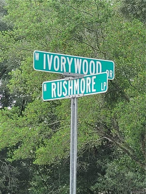 1615 Ivorywood Drive - Photo 1