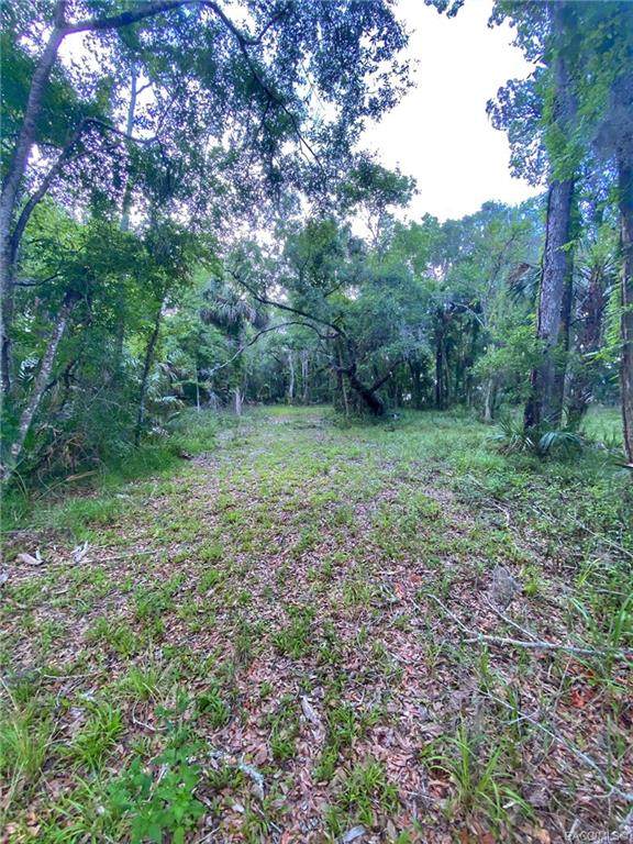 10331 Halls River Road - Photo 1
